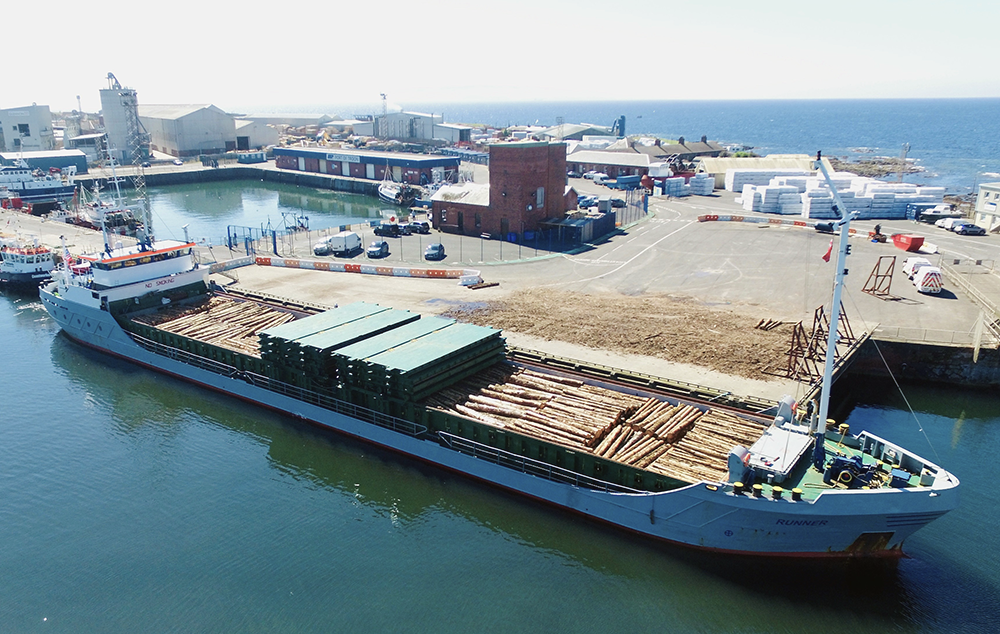 Timber being shipped out of Troon Harbour via TimberLink project.